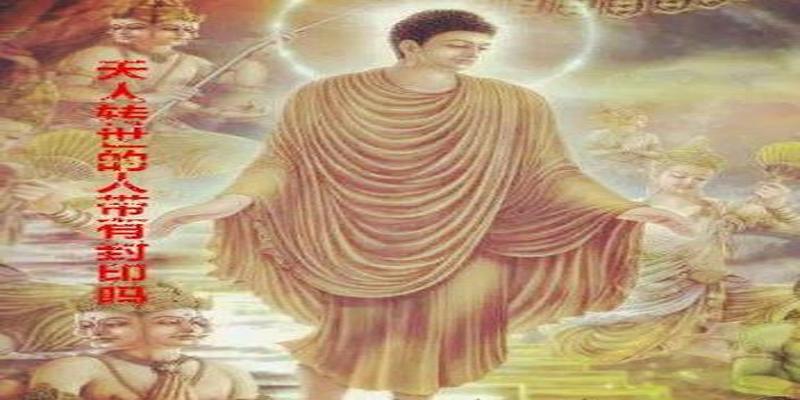 从天道往生到人间的孩子(天道来的孩子)