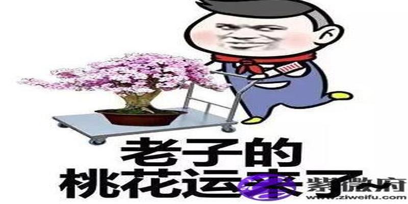 流年遇咸池桃花会怎样？咸池桃花能遇正缘吗？