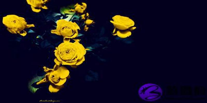 庚申日女命看婚姻 庚申日柱女婚姻怎么样