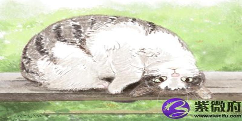 八字食神为忌神(八字是食神格怎么查)