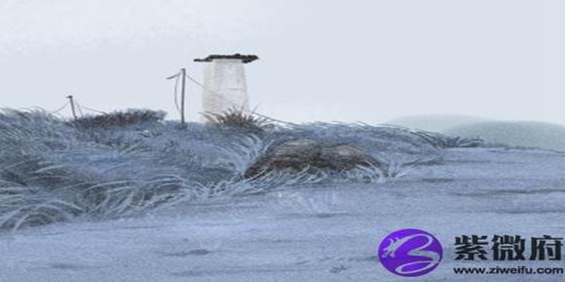 八字食神为忌神(八字是食神格怎么查)