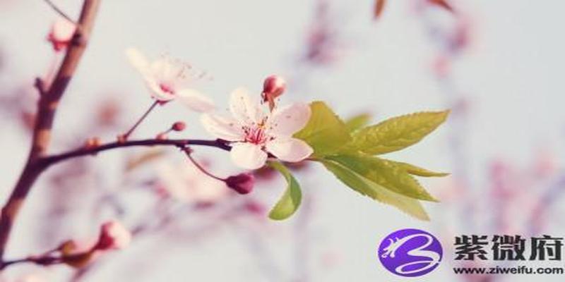 姓杨五行缺水的小孩名字 五行缺水怎么取名