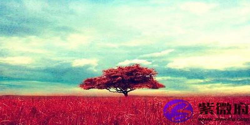 哪些日子有丁未时?丁未时出生的人命好吗?