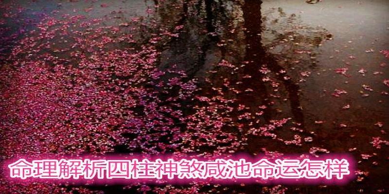 命理解析四柱神煞咸池命运怎样