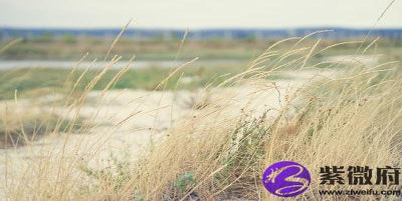 己土生于辰时(己酉日生月论命)