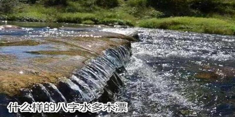 什么样的八字水多木漂