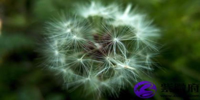 五行火旺缺水怎么办 火命八字缺水怎么办