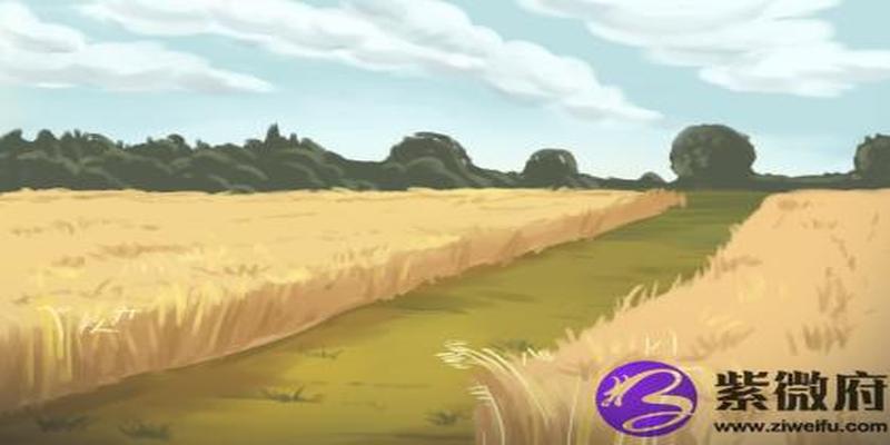 水命什么意思(水命人以什么为财)