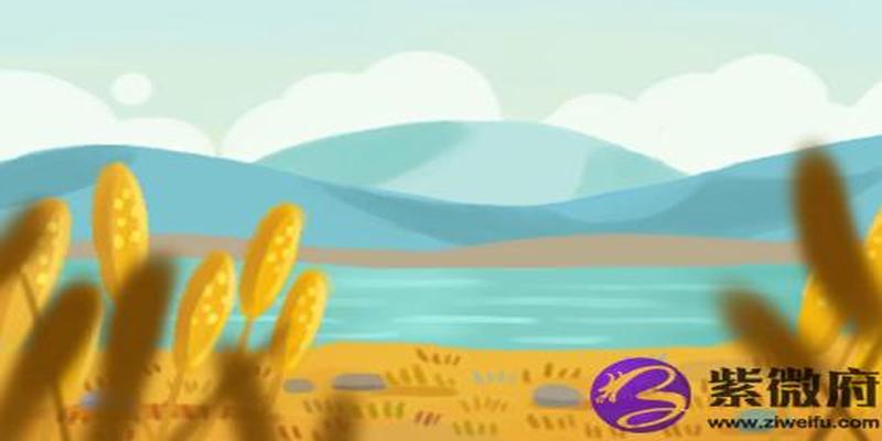 女命大运劫财(女命劫财运代表什么)