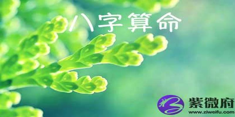 大师推荐 出生年月算八字知人生命运