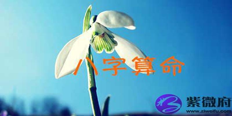 免费八字算大运 八字算命就用它