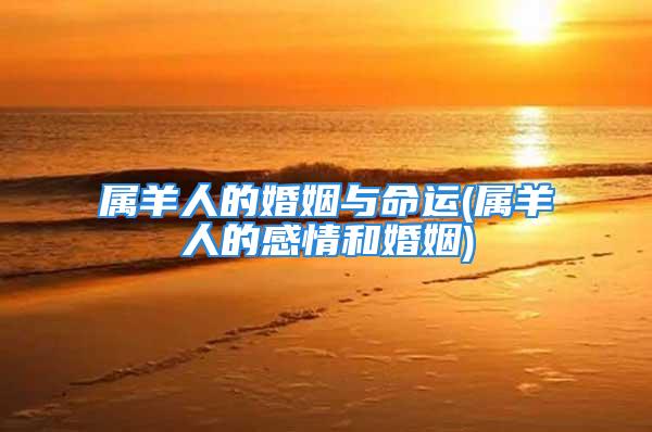 属羊人的婚姻与命运(属羊人的感情和婚姻)