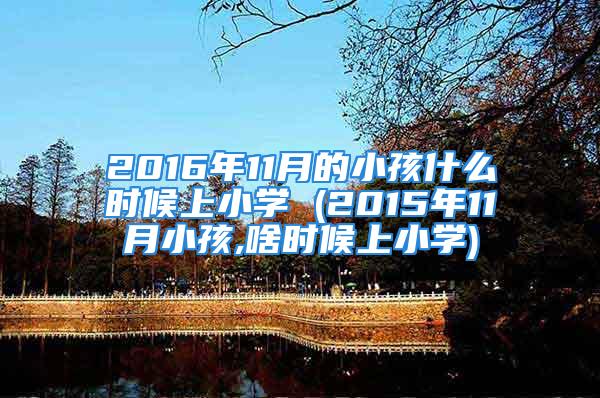 2016年11月的小孩什么时候上小学 (2015年11月小孩,啥时候上小学)