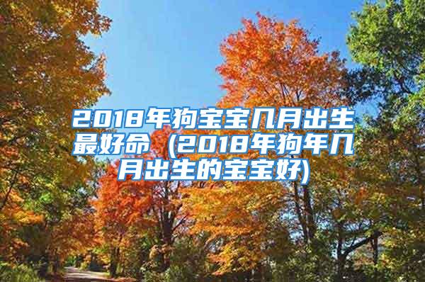 2018年狗宝宝几月出生最好命 (2018年狗年几月出生的宝宝好)