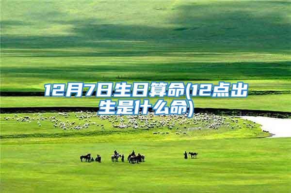 12月7日生日算命(12点出生是什么命)