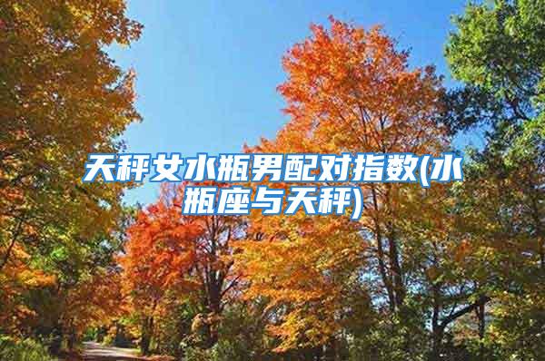 天秤女水瓶男配对指数(水瓶座与天秤)