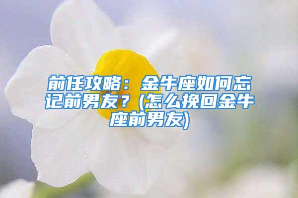 前任攻略：金牛座如何忘记前男友？(怎么挽回金牛座前男友)