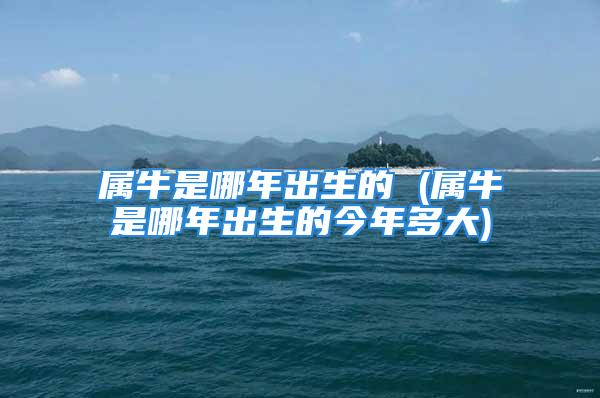 属牛是哪年出生的 (属牛是哪年出生的今年多大)