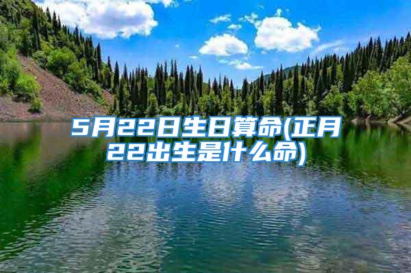 5月22日生日算命(正月22出生是什么命)