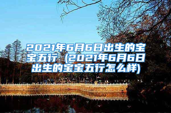 2021年6月6日出生的宝宝五行 (2021年6月6日出生的宝宝五行怎么样)