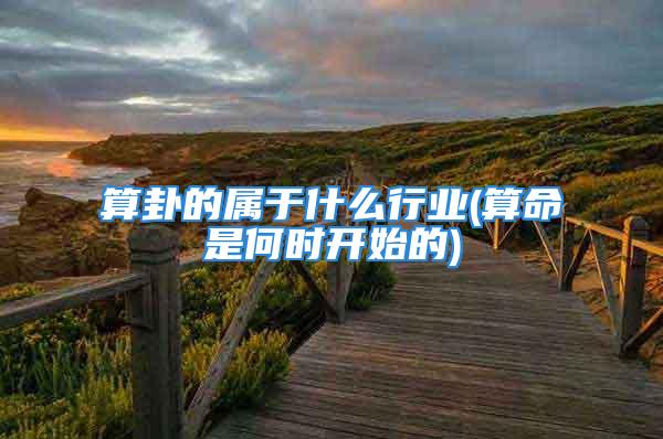 算卦的属于什么行业(算命是何时开始的)