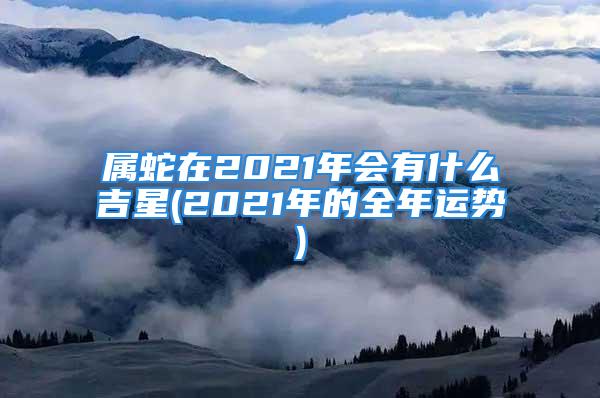 属蛇在2021年会有什么吉星(2021年的全年运势)