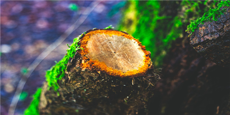 喜神方位查询 2020年9月1日喜神在哪个方位(什么叫喜神方位)