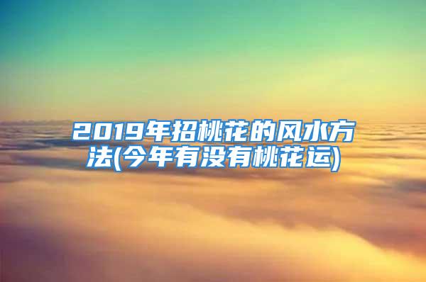 2019年招桃花的风水方法(今年有没有桃花运)