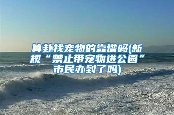 算卦找宠物的靠谱吗(新规“禁止带宠物进公园”市民办到了吗)