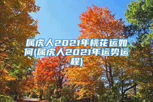 属虎人2021年桃花运如何(属虎人2021年运势运程)