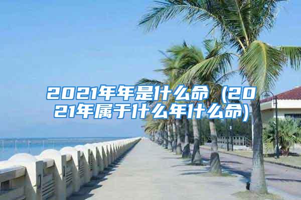 2021年年是什么命 (2021年属于什么年什么命)