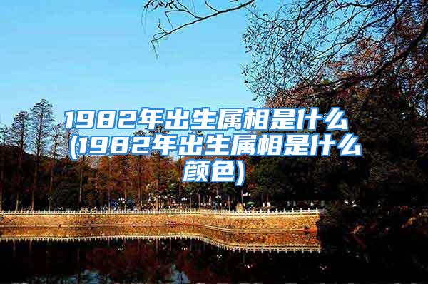 1982年出生属相是什么 (1982年出生属相是什么颜色)