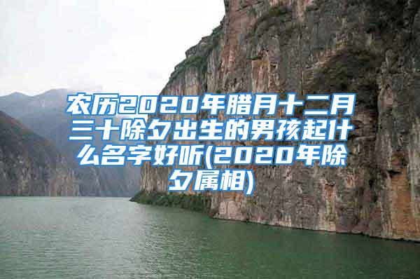 农历2020年腊月十二月三十除夕出生的男孩起什么名字好听(2020年除夕属相)