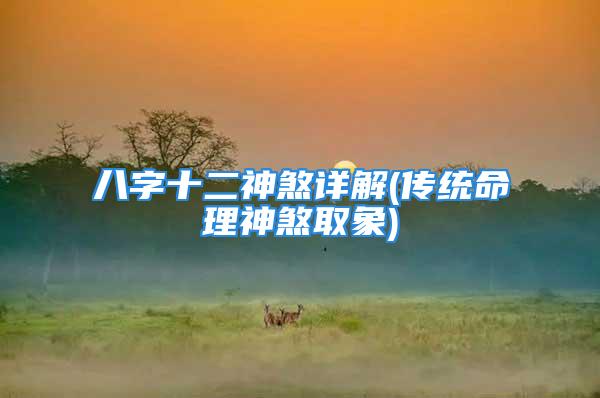 八字十二神煞详解(传统命理神煞取象)