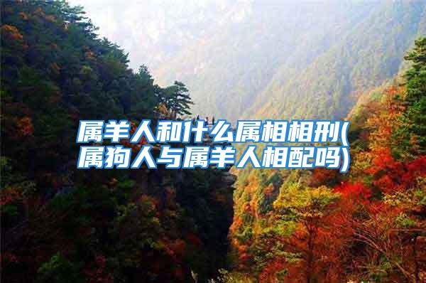 属羊人和什么属相相刑(属狗人与属羊人相配吗)