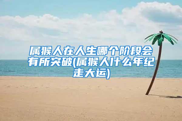 属猴人在人生哪个阶段会有所突破(属猴人什么年纪走大运)