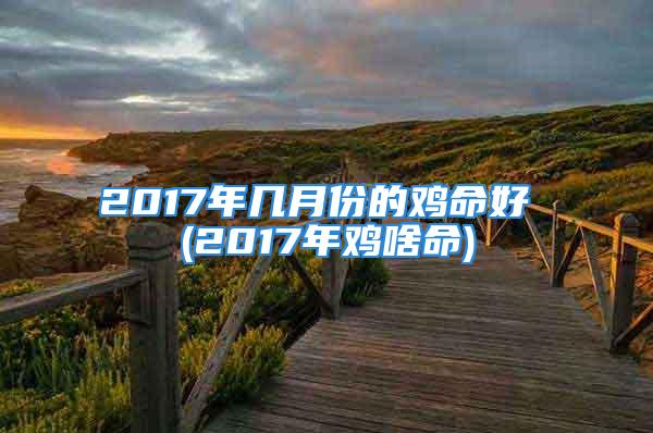 2017年几月份的鸡命好 (2017年鸡啥命)