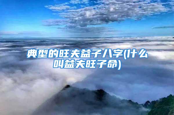 典型的旺夫益子八字(什么叫益夫旺子命)