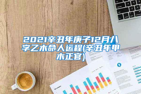 2021辛丑年庚子12月八字乙木命人运程(辛丑年甲木正官)