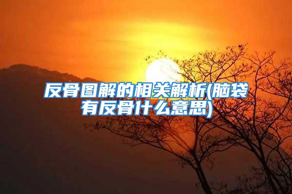 反骨图解的相关解析(脑袋有反骨什么意思)