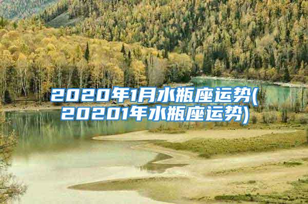 2020年1月水瓶座运势(20201年水瓶座运势)