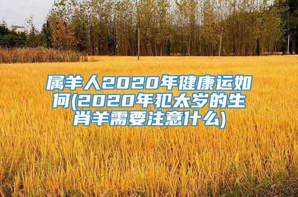 属羊人2020年健康运如何(2020年犯太岁的生肖羊需要注意什么)