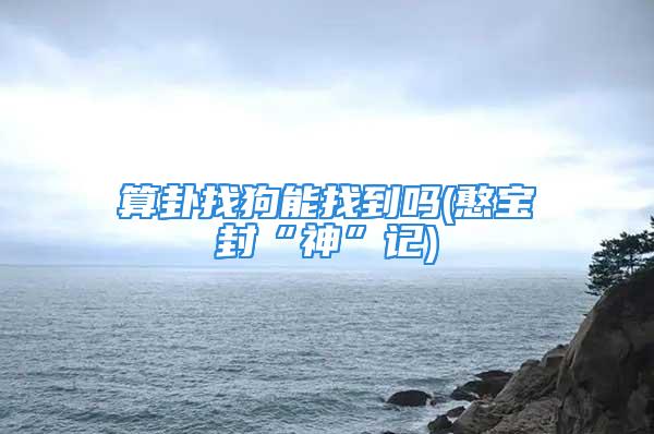 算卦找狗能找到吗(憨宝封“神”记)
