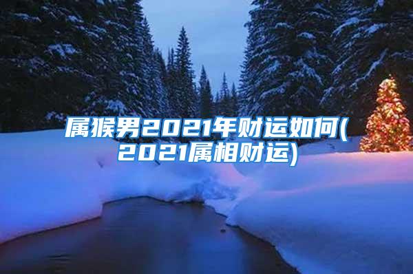 属猴男2021年财运如何(2021属相财运)