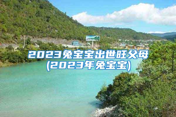 2023兔宝宝出世旺父母(2023年兔宝宝)