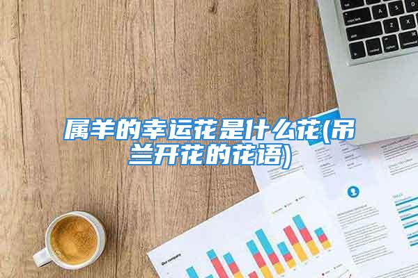 属羊的幸运花是什么花(吊兰开花的花语)