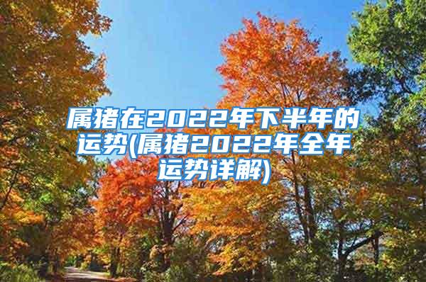 属猪在2022年下半年的运势(属猪2022年全年运势详解)