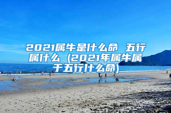 2021属牛是什么命 五行属什么 (2021年属牛属于五行什么命)