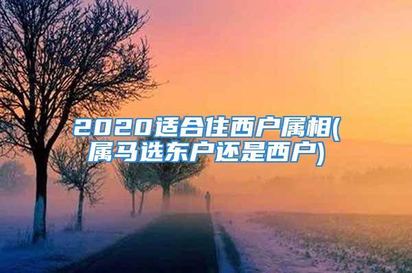 2020适合住西户属相(属马选东户还是西户)