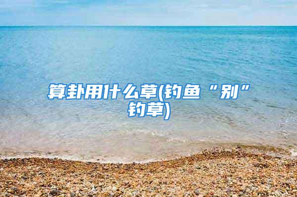 算卦用什么草(钓鱼“别”钓草)